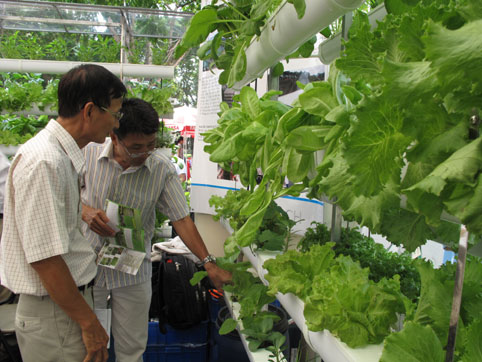 Hướng sản phẩm n&ocirc;ng nghiệp theo ti&ecirc;u chuẩn VietGAP