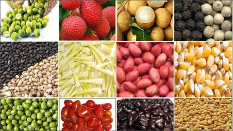 n&ocirc;ng sản việt nam, người 13Win18 đa dạng khuyến mãi, xuất ngoại, si&ecirc;u thị mỹ, thương hiệu