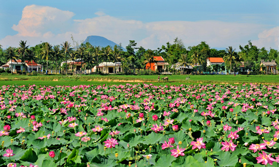 N&ocirc;ng th&ocirc;n mới