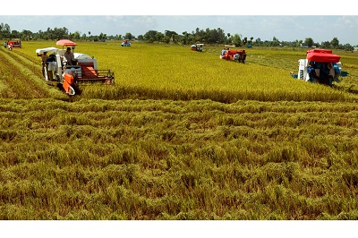 N&acirc;ng cao chất lượng quản l&yacute; n&ocirc;ng nghiệp Cần Thơ