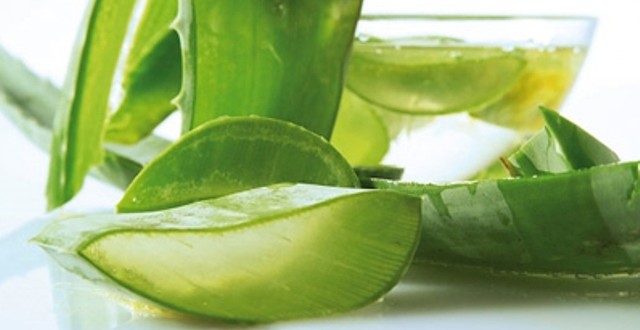 Th&ecirc;m mật ong v&agrave;o nước &eacute;p l&ocirc; hội cho dễ uống