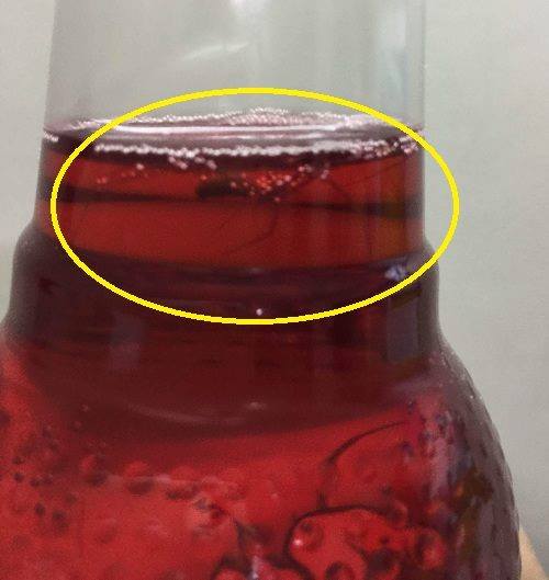 Nước Sting d&acirc;u của Pepsico chứa x&aacute;c nhện