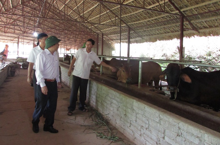 M&ocirc; h&igrave;nh nu&ocirc;i b&ograve; b&aacute;n c&ocirc;ng nghiệp