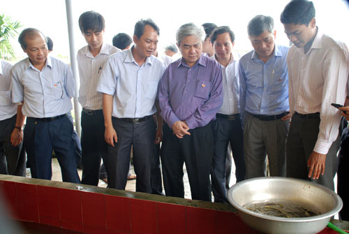 Hội đồng Khoa học tỉnh Ph&uacute; Thọ vừa nghiệm thu cơ sở dự &aacute;n khoa học cấp Nh&agrave; nước do Trung ương quản l&yacute;: X&acirc;y dựng m&ocirc; h&igrave;nh ứng dụng c&ocirc;ng nghệ sản xuất v&agrave; nu&ocirc;i thương phẩm c&aacute; Lăng chấm, c&aacute; Anh Vũ.