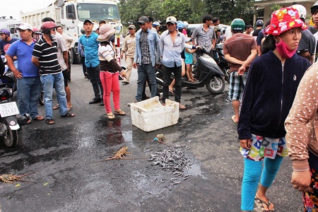 &Ocirc; nhiễm m&ocirc;i trường do v&eacute;t nạo Vịnh Cam Ranh ở Kh&aacute;nh H&ograve;a