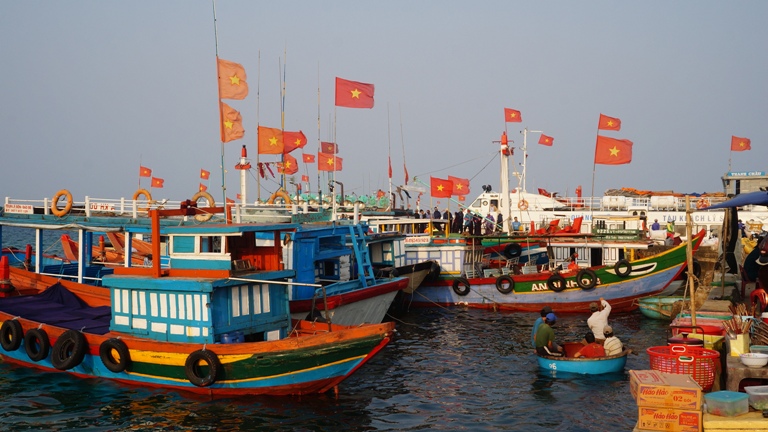 du lịch đảo L&yacute; Sơn