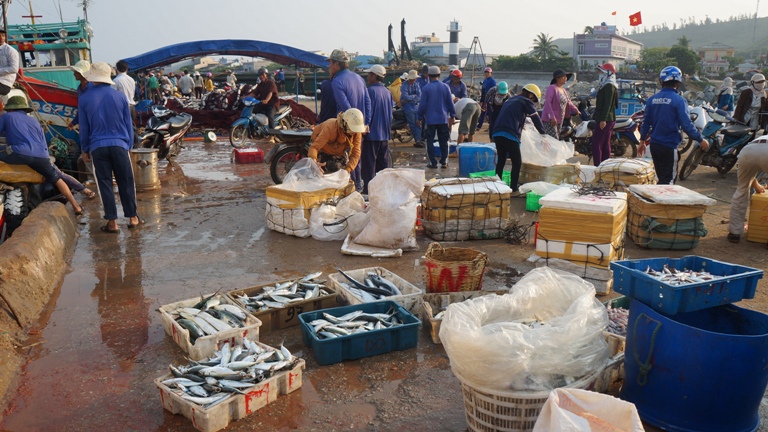 chợ c&aacute; đảo L&yacute; Sơn