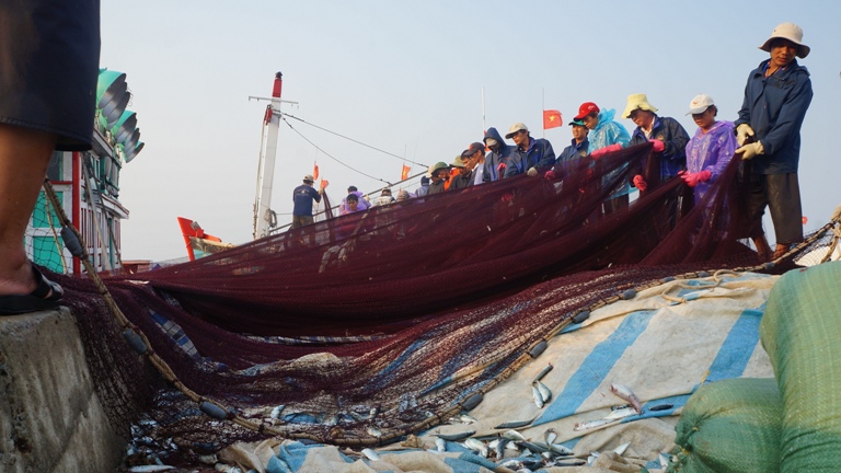 chợ c&aacute; L&yacute; Sơn