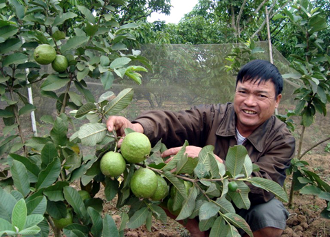 Sức khỏe gia đ&igrave;nh l&agrave; vấn đề được rất nhiều người quan t&acirc;m