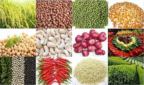 Phó Thủ tướng chỉ đạo đổi mới phương thức kinh doanh nông sản Phó Thủ tướng chỉ đạo đổi mới phương thức kinh doanh nông sản