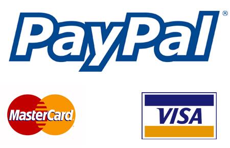 Từ một c&ocirc;ng ty nhỏ, Paypal đ&atilde; sản sinh ra nhiều nh&acirc;n vật c&oacute; sức ảnh hưởng lớn ở thung lũng Silicon