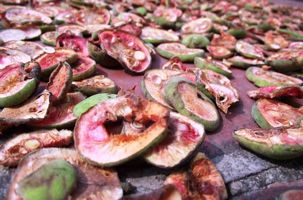 Nhận biết quả chay th&aacute;i phơi kh&ocirc;