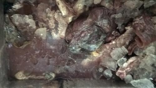 Số thịt tr&acirc;u, thịt b&ograve; bẩn được cất giữ từ năm 2014 đ&atilde; bốc m&ugrave;i h&ocirc;i thối, biến đổi m&agrave;u sắc v&agrave; c&oacute; dấu hiệu nhiễm khuẩn