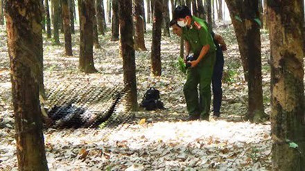 Lực lượng C&ocirc;ng an đang tiến h&agrave;nh kh&aacute;m nghiệm hiện trường vụ ph&aacute;t hiện thi thể chết ch&aacute;y trong rừng cao su ng&agrave;y 11/3