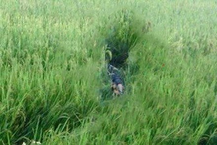 Trước đ&oacute; người d&acirc;n Nam Định cũng ph&aacute;t hiện thi thể nam giới khi đi thăm ruộng