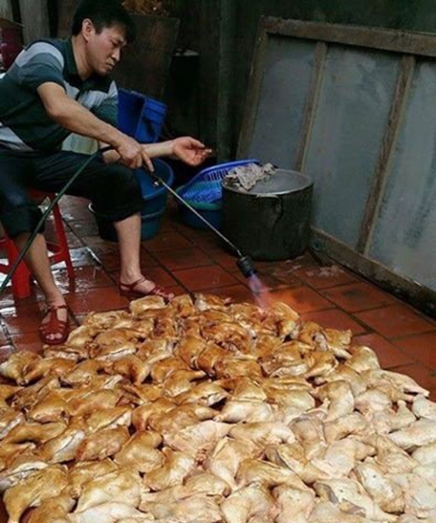 Thực phẩm bẩn được chế biến tr&ecirc;n s&agrave;n nh&agrave; khiến người 13Win18 đa dạng khuyến mãi hoang mang