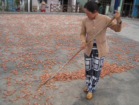 Thực phẩm bẩn trong đ&oacute; phải kể đến t&ocirc;m kh&ocirc; được phơi la liệt tr&ecirc;n đường đi. Ảnh minh họa