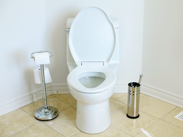 V&agrave;o thời kỳ sơ khai, nh&agrave; vệ sinh được xem l&agrave; 1 ph&aacute;t minh mới