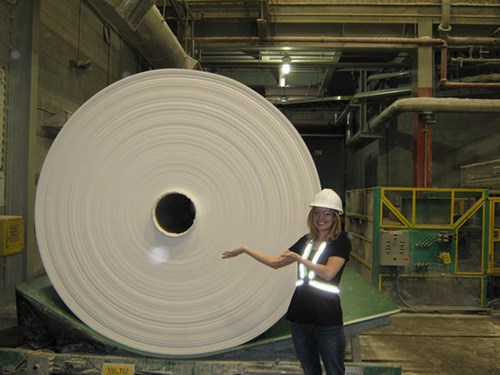 Cuộn giấy vệ sinh lớn nhất thế giới l&agrave; do h&atilde;ng Charmin sản xuất