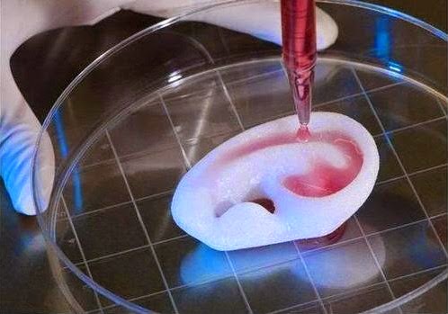 Ph&aacute;t minh mới với c&ocirc;ng nghệ in 3D gi&uacute;p ph&aacute;t triển kỹ thuật gh&eacute;p tạng người
