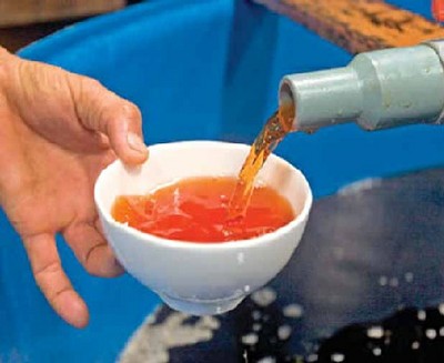 T&agrave;i sản tr&iacute; tuệ nước mắm Ph&uacute; Y&ecirc;n