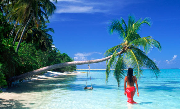 Quốc đảo Seychelles, qu&ecirc; hương của dừa Coco de Mer, được v&iacute; von l&agrave; h&ograve;n ngọc giữa Ấn Độ Dương, nằm ở ngo&agrave;i khơi bờ biển ph&iacute;a đ&ocirc;ng của ch&acirc;u Phi, đ&atilde; g&acirc;y t&ograve; m&ograve; cho người d&acirc;n khắp thế giới bởi đ&oacute; l&agrave; nơi nghỉ tuần trăng mật của hai vợ chồng ho&agrave;ng tử Anh William v&agrave; Kate
