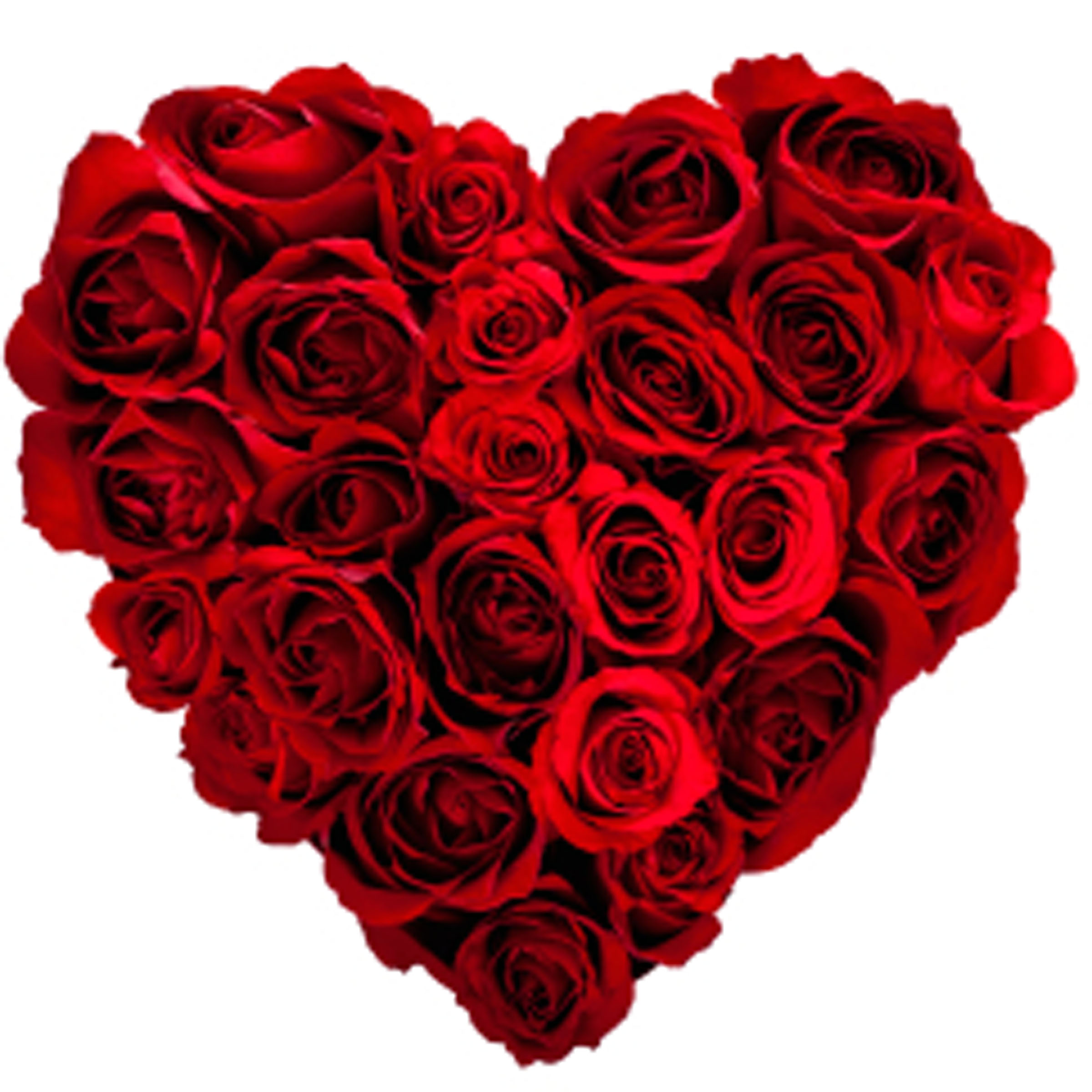 Biểu tượng tr&aacute;i tim của ng&agrave;y Valentine lại l&agrave; một 'ph&aacute;t minh mới' c&oacute; nguồn gốc từ một loại c&acirc;y d&ugrave;ng để tr&aacute;nh thai thời trung cổ
