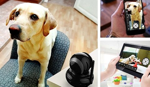Người chủ sẽ kh&ocirc;ng phải lo lắng về những con vật nu&ocirc;i của m&igrave;nh với thiết bị n&agrave;y
