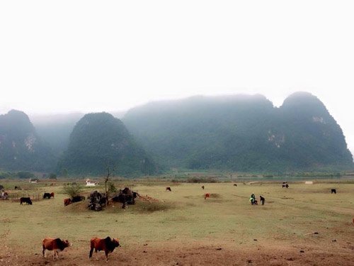 Phim King Kong 2 khiến người d&acirc;n đội mưa đến xem &lsquo;bom tấn&rsquo; nổ