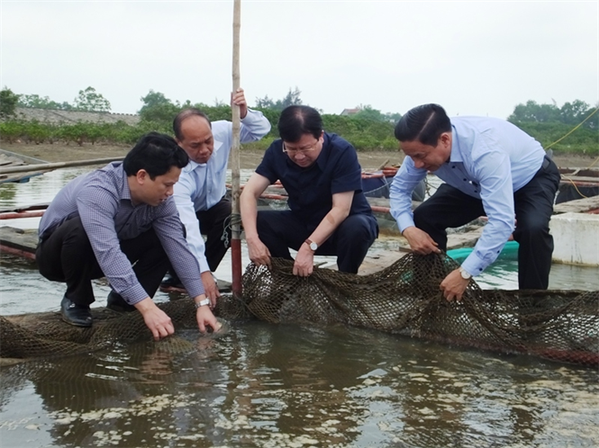 pho-thu-tuong-trinh-dinh-dung-chi-thi-vu-ca-chet-hang-loat