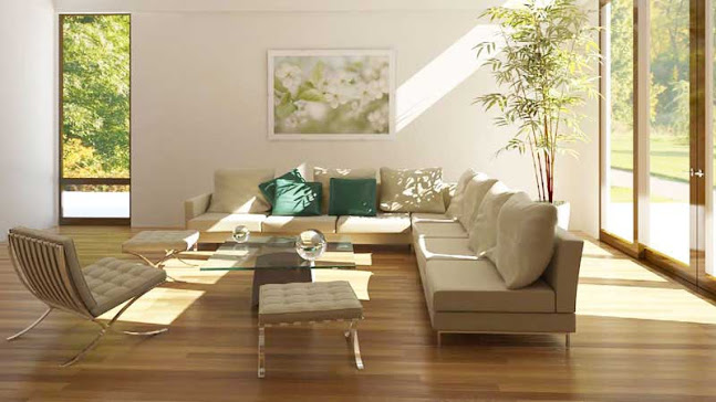 C&aacute;c loại c&acirc;y thể hiện t&agrave;i lộc được ưa chuộng nhất l&agrave; c&acirc;y kim ng&acirc;n, kim qu&yacute;t, kim ph&aacute;t t&agrave;i, lộc vừng, ph&aacute;t lộc&hellip;