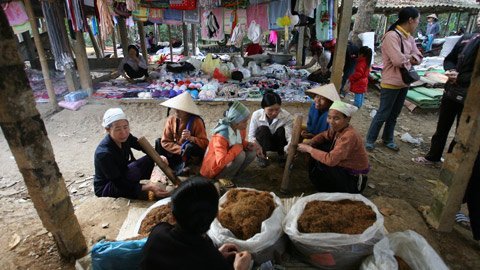  Sau mỗi lượt hút, họ lại bàn tán về độ ngon và nặng nhẹ của thuốc.