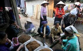 Trên tay họ là những chiếc điếu cày to, làm bằng tre dài đến gần một mét và thay nhau rít những hơi dài, ngẩng mặt lên trời nhả khói mê đắm, sau đó truyền tay nhau cho người kế bên cùng thưởng thức.