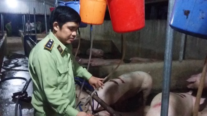Thực phẩm bẩn được c&aacute;c cơ quan xử l&yacute; nghi&ecirc;m ngặt