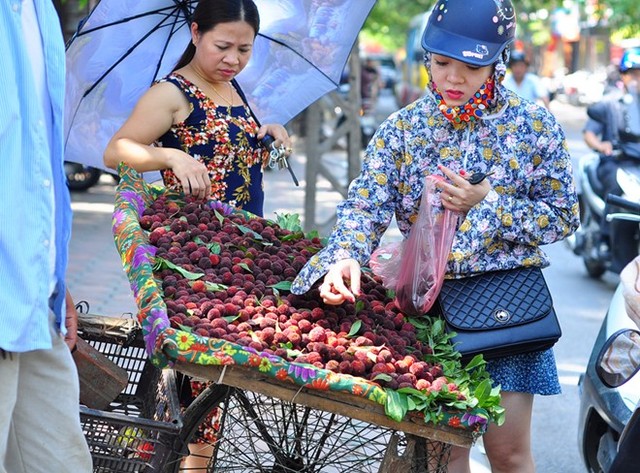 quả thanh mai