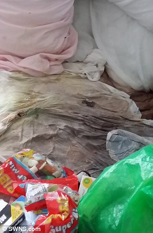 Con g&aacute;i b&agrave; Green Corrin Garland ph&aacute;t hiện nệm v&agrave; giường của b&agrave; đẫm trong nước tiểu v&agrave; r&aacute;c 