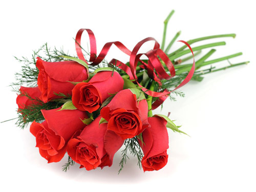Hoa hồng l&agrave; sự lựa chọn kinh điển cho c&aacute;c ch&agrave;ng khi t&igrave;m qu&agrave; tặng Valentine trắng cho n&agrave;ng