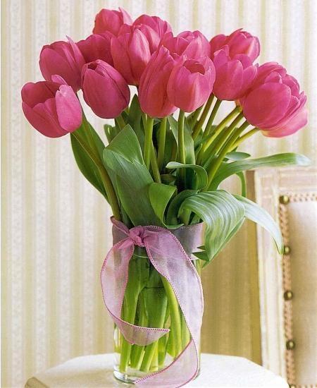 Nếu muốn chọn một m&oacute;n qu&agrave; tặng &yacute; nghĩa ng&agrave;y 8/3 cho người đặc biệt th&igrave; hoa tulip cũng l&agrave; một lựa chọn th&uacute; vị