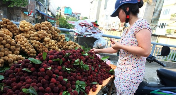 Sự thật  bất ngờ về nguồn gốc quả thanh mai