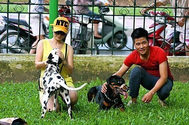 nạn trộm ch&oacute;, bắt c&oacute;c ch&oacute;, tống tiền đại gia