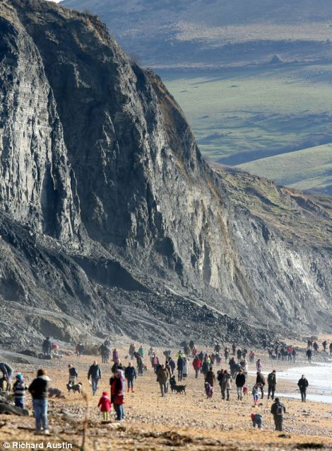 bờ biển jurassic, săn l&ugrave;ng kho b&aacute;u, kho b&aacute;u cổ xưa, h&oacute;a thạch b&ograve; s&aacute;t biển, h&oacute;a thạch khổng lồ