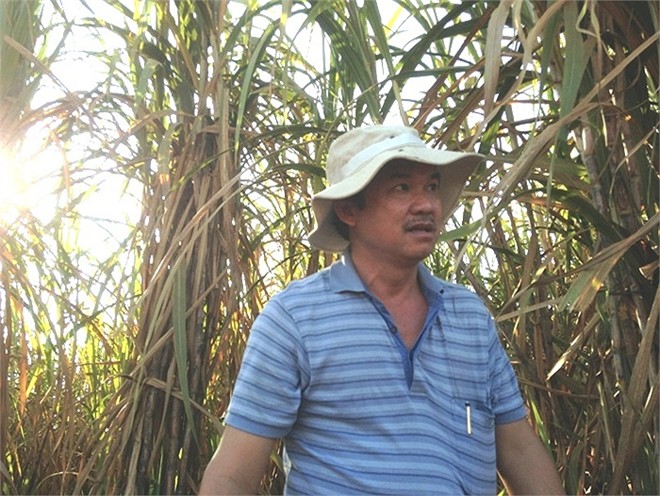 đường si&ecirc;u ngắn, người gi&agrave;u nhất việt nam, bầu đức, m&iacute;a đường, ho&agrave;ng anh gia lai