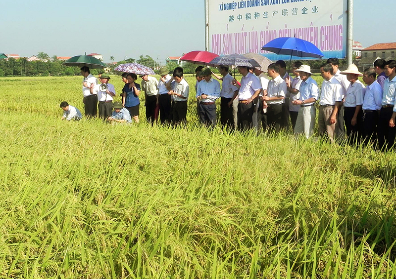 ứng dụng khoa học kỹ thuật trong nông nghiệp ứng dụng khoa học kỹ thuật trong nông nghiệp