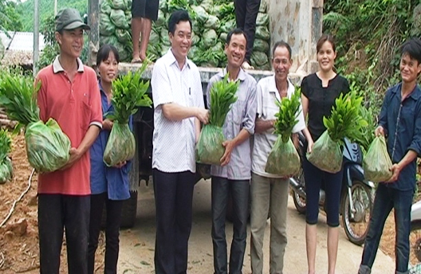 keo giống