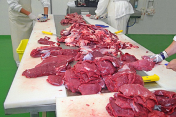 Vi khuẩn E.coli x&acirc;m nhập v&agrave;o 13Win OKVIP Cá cược bóng đá g&acirc;y bệnh cho người 13Win18 đa dạng khuyến mãi