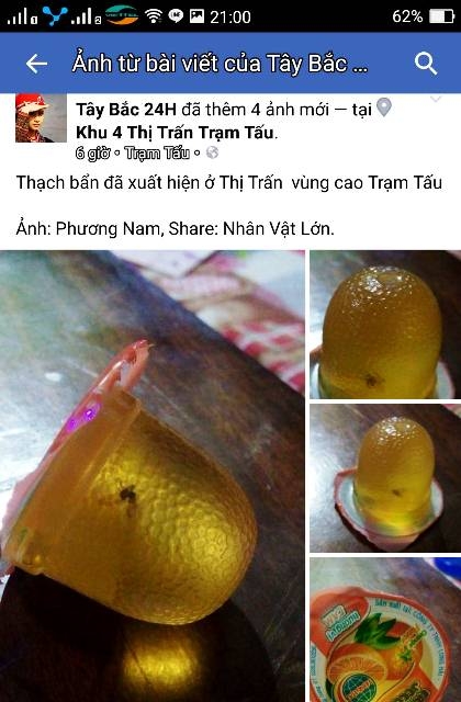rau-cau-long-hai