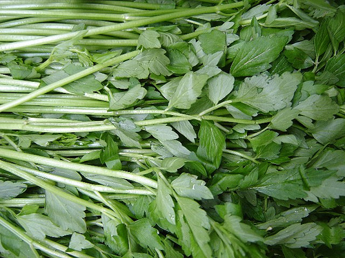 Trong kho thuốc của mẹo vặt gia đ&igrave;nh rau cần c&oacute; t&aacute;c dụng chữa bệnh đ&aacute;i th&aacute;o đường
