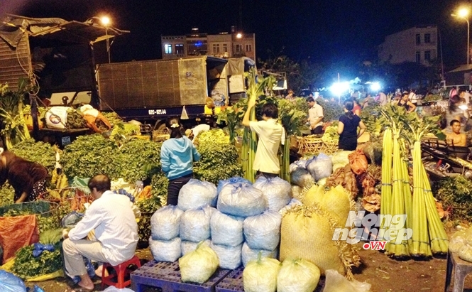 rau kh&ocirc;ng sạch