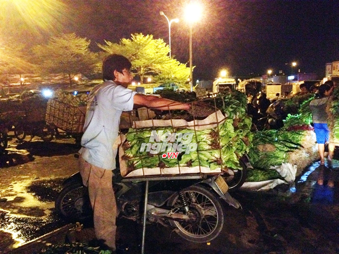 rau kh&ocirc;ng sạch