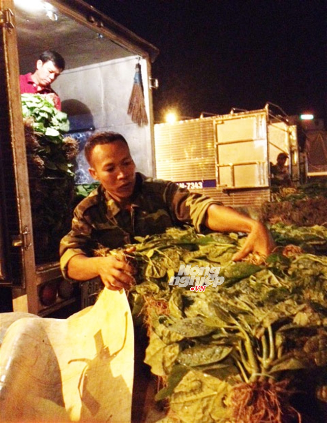 rau kh&ocirc;ng sạch